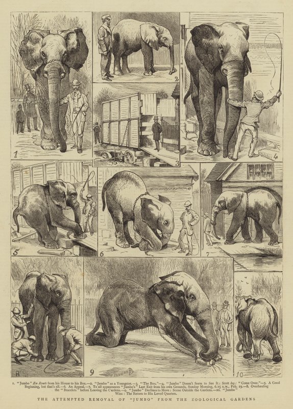 Próba usunięcia Jumbo z ogrodów zoologicznych autorstwa Alfred Chantrey Corbould