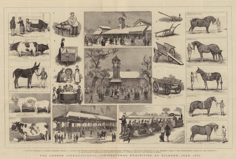 Londyńska Międzynarodowa Wystawa Rolnicza w Kilburn, lipiec 1879 r. autorstwa Alfred Chantrey Corbould