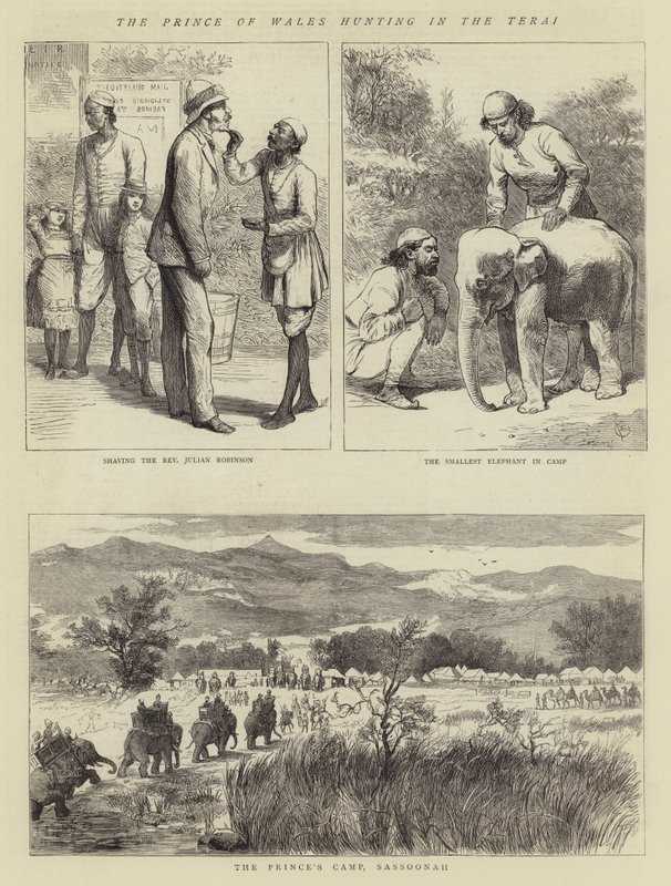 Książę Walii polujący w Terai autorstwa Alfred Chantrey Corbould