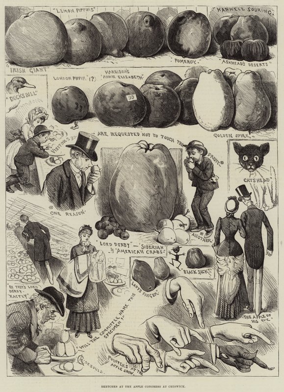 Szkice na Kongresie Apple w Chiswick autorstwa Alfred Courbould