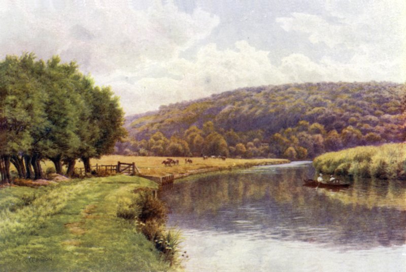 Quarry Woods, Marlow autorstwa Alfred Robert Quinton