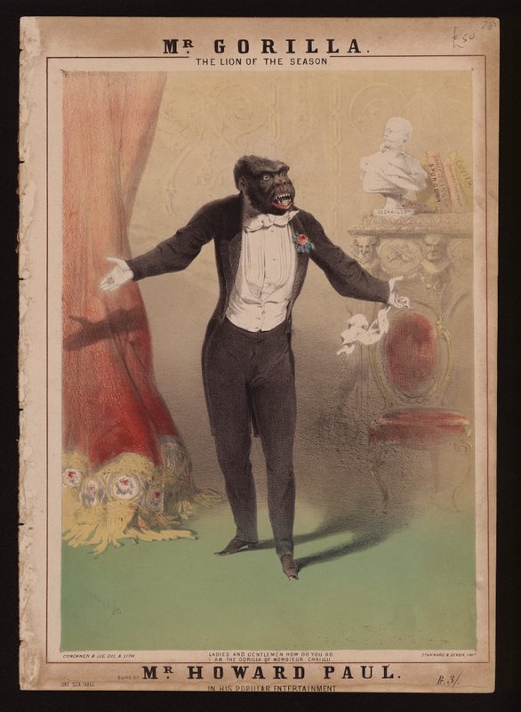 „Jestem Gorylem Monsieur Chaillu” (kolor lito) autorstwa Alfred (after) Concanen