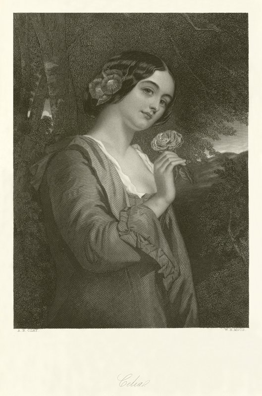 Celia autorstwa Alfred Barron Clay
