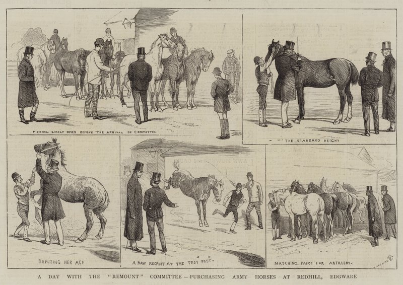 Dzień z Komitetem Remount, kupując konie wojskowe w Redhill, Edgware autorstwa Alfred Chantrey Corbould