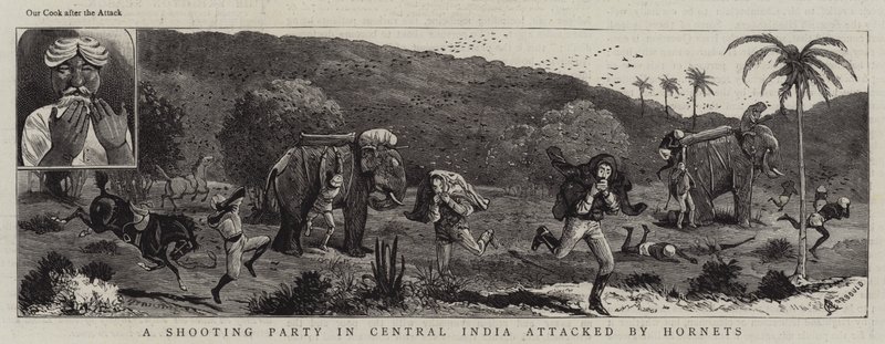 Grupa strzelecka w środkowych Indiach zaatakowana przez szerszenie autorstwa Alfred Chantrey Corbould