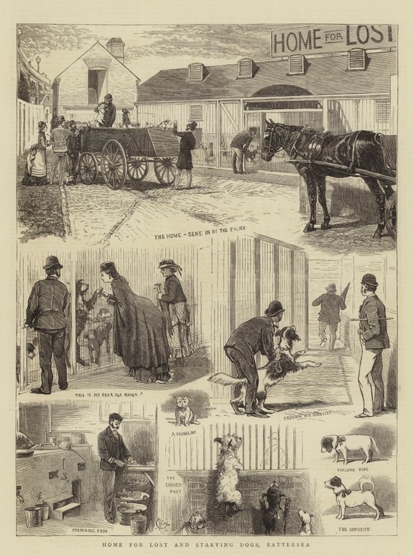 Dom dla zagubionych i głodujących psów, Battersea autorstwa Alfred Chantrey Corbould