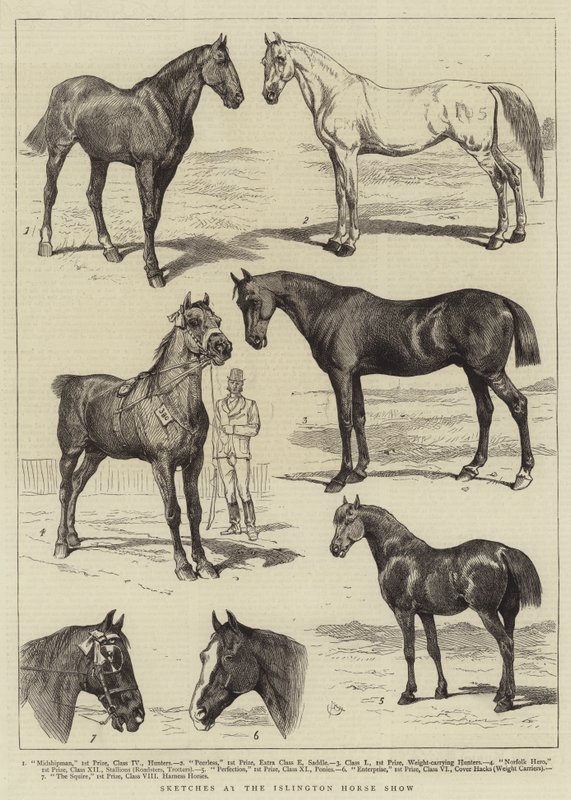 Szkice na Islington Horse Show autorstwa Alfred Chantrey Corbould