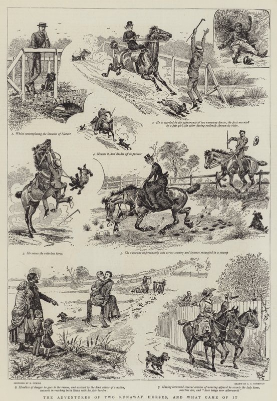 Przygody dwóch zbiegłych koni i co z tego wynikło autorstwa Alfred Chantrey Corbould