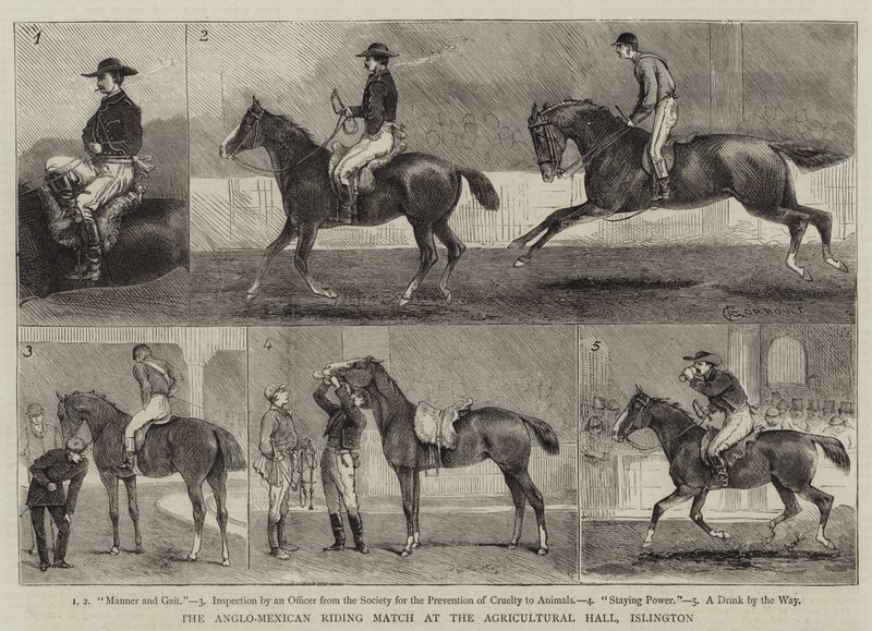 Anglo-Meksykański Mecz Jeździecki w Hali Rolniczej, Islington autorstwa Alfred Chantrey Corbould