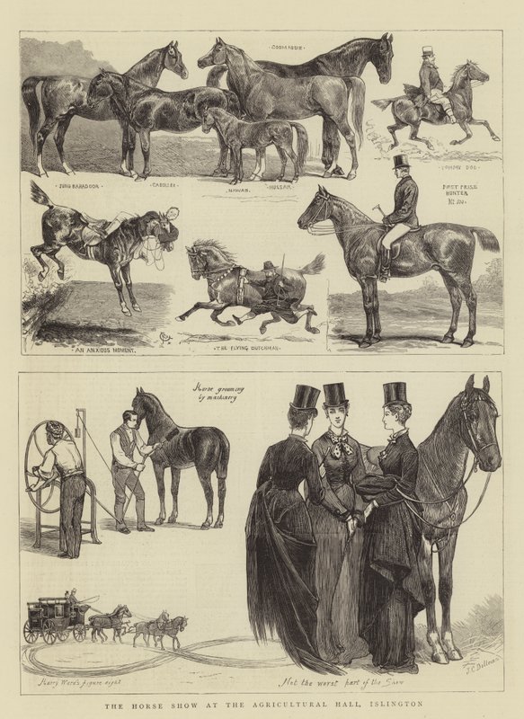 Pokaz Koni w Hali Rolniczej w Islington autorstwa Alfred Chantrey Corbould