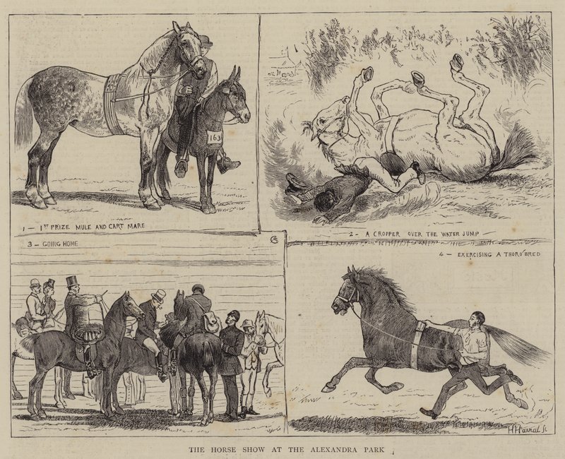 Pokaz koni w Alexandra Park autorstwa Alfred Chantrey Corbould