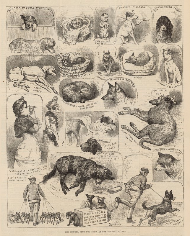 Wystawa psów Związku Kynologicznego w Crystal Palace autorstwa Alfred Chantrey Corbould