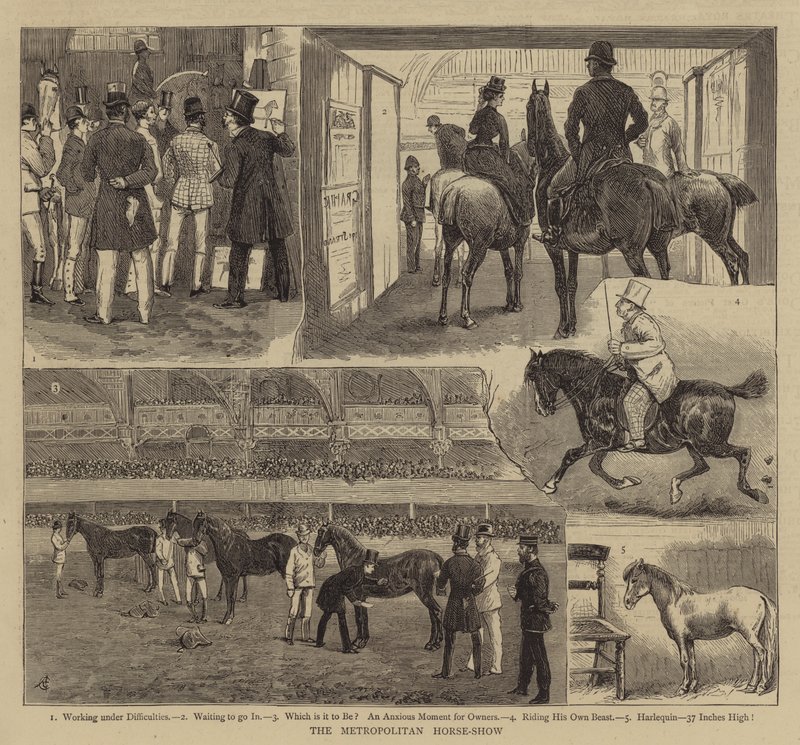 Metropolitan Horse-Show autorstwa Alfred Chantrey Corbould