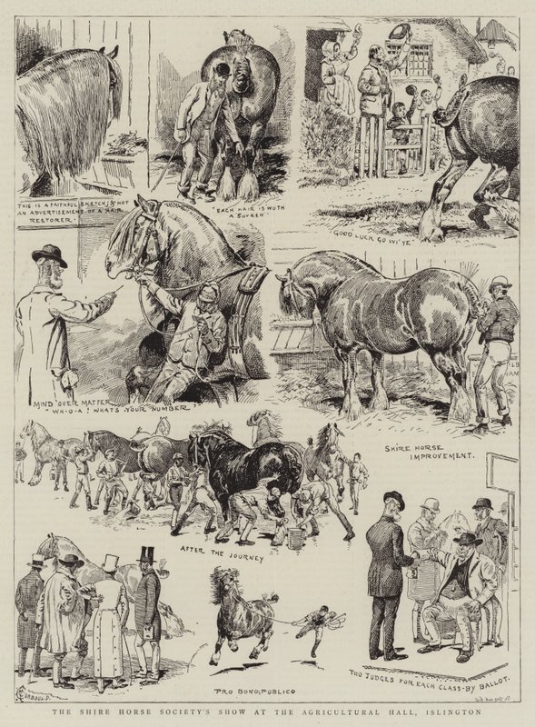 Shire Horse Society Show w Hali Rolniczej w Islington autorstwa Alfred Chantrey Corbould