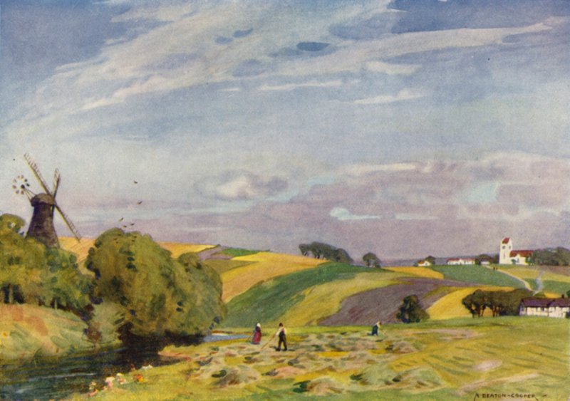 Dania: Typowy duński krajobraz, Południowa Jutlandia (kolor lito) autorstwa Alfred Heaton Cooper