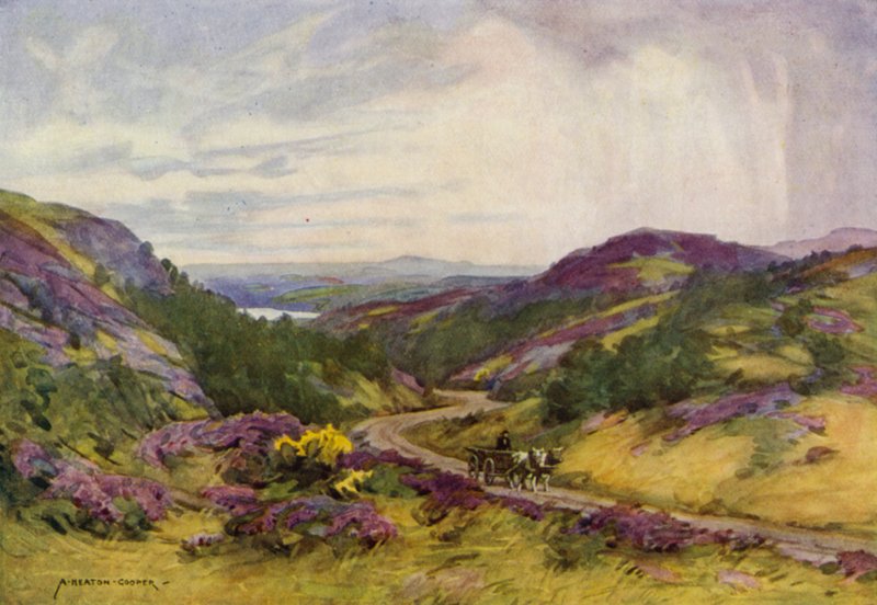 Dania: Raebild Hills, niedaleko Aalborg (kolor lito) autorstwa Alfred Heaton Cooper