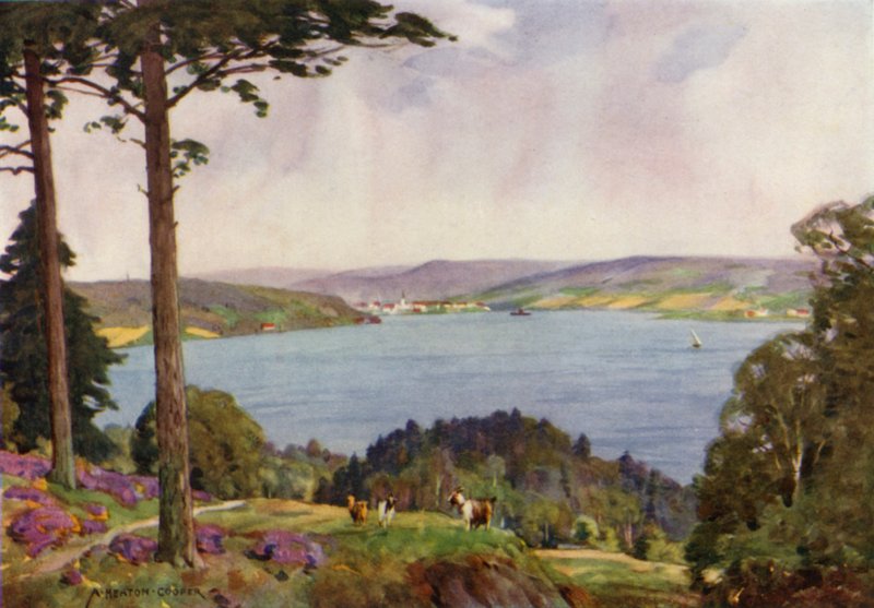 Dania: Vejle Fiord, Południowa Jutlandia (kolor lito) autorstwa Alfred Heaton Cooper