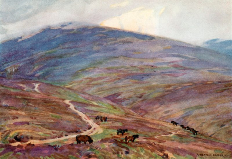 Exmoor Ponies, poniżej Dunkery Beacon (kolor lito) autorstwa Alfred Heaton Cooper