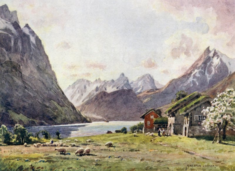 Fiord Hjorund, Gęś autorstwa Alfred Heaton Cooper