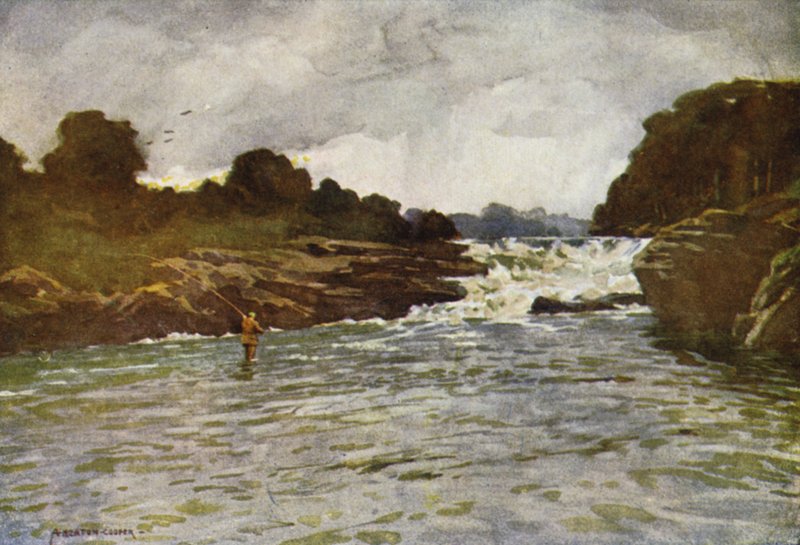 Kathleens Falls, Ballyshannon autorstwa Alfred Heaton Cooper