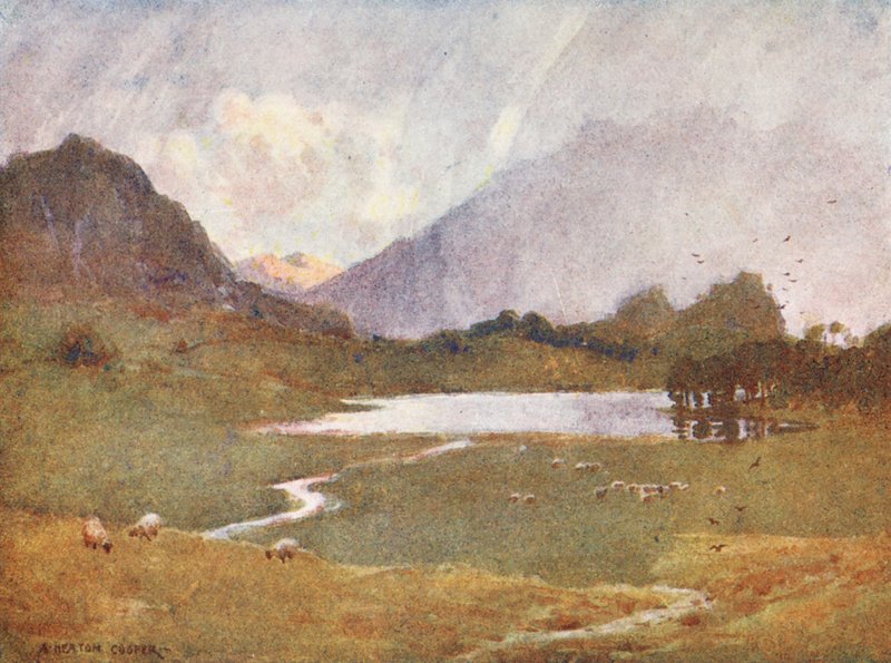 Kraina Jezior: A Sudden Shower, Blea Tarn (kolorowa litografia) autorstwa Alfred Heaton Cooper
