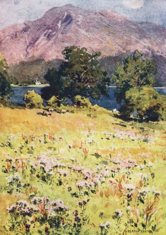Kraina Jezior: Jezioro Bassenthwaite i Skiddaw (kolorowa litografia) autorstwa Alfred Heaton Cooper
