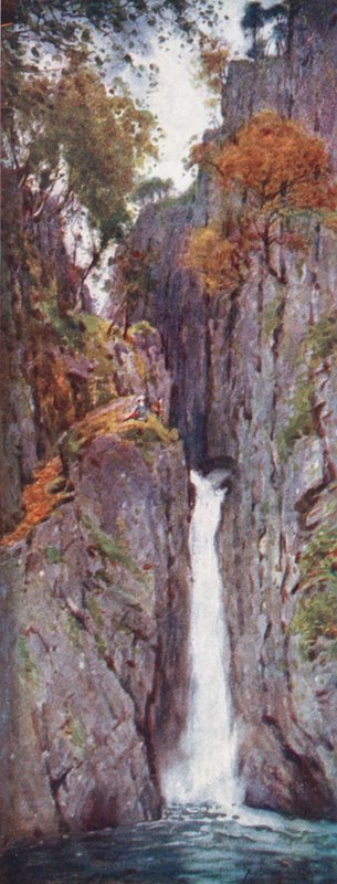 Lake District: Dalegarth Force, Eskdale (kolorowa litografia) autorstwa Alfred Heaton Cooper