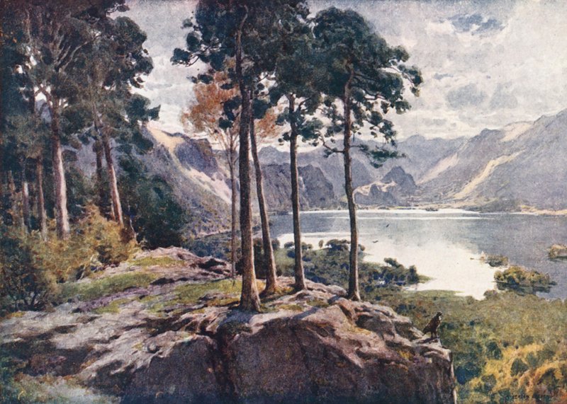 Kraina Jezior: Derwentwater, z Castle Head, jasny poranek (kolorowa litografia) autorstwa Alfred Heaton Cooper