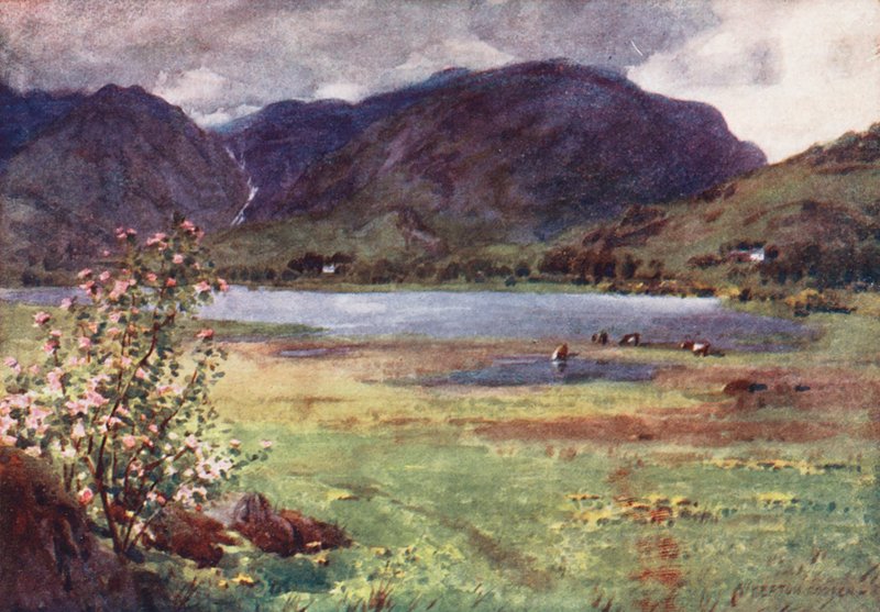 Lake District: Little Langdale Tarn (kolorowa litografia) autorstwa Alfred Heaton Cooper