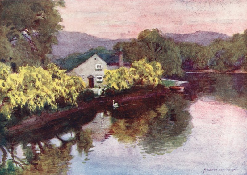 Kraina Jezior: Old Laburnums at Newby Bridge, Windermere (kolorowa litografia) autorstwa Alfred Heaton Cooper