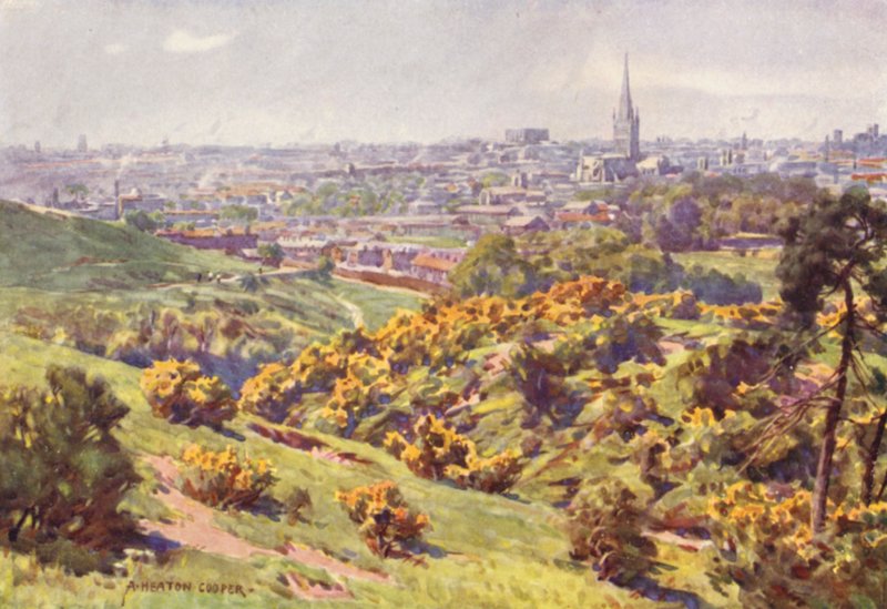 Norwich z Mysiej Twierdzy Heath, Norfolk autorstwa Alfred Heaton Cooper