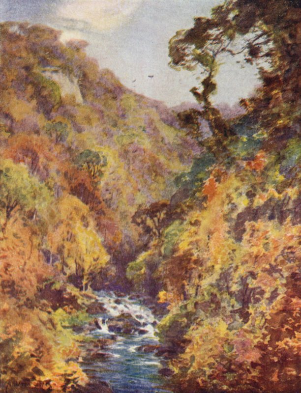 Dargle, hrabstwo Wicklow autorstwa Alfred Heaton Cooper