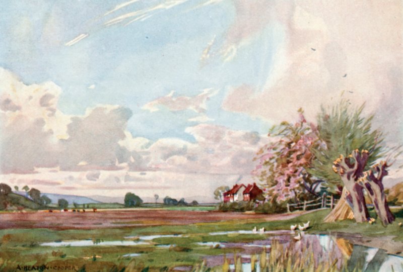 Wyspa Athelney (kolor lito) autorstwa Alfred Heaton Cooper