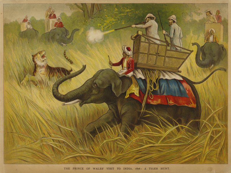 Edward, książę Walii, strzelający do tygrysów podczas wizyty w Indiach autorstwa Alfred Johnson