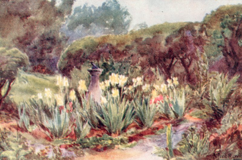 "To stara tarcza, ciemna z wieloma plamami" (kolorowa litografia) autorstwa Alfred Rawlings