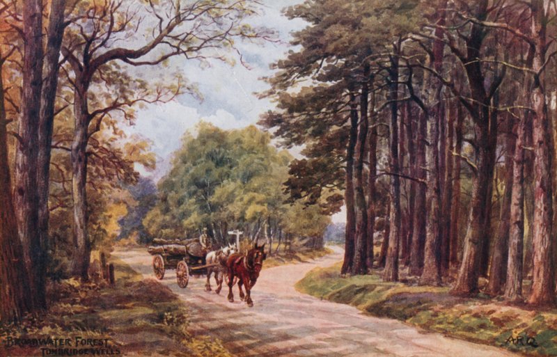 Las Broadwater, Studnie Tunbridge autorstwa Alfred Robert Quinton