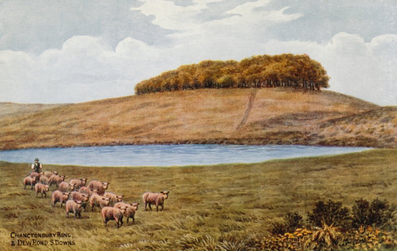 Chanctonbury Ring, i Dew Pond, S Downs autorstwa Alfred Robert Quinton