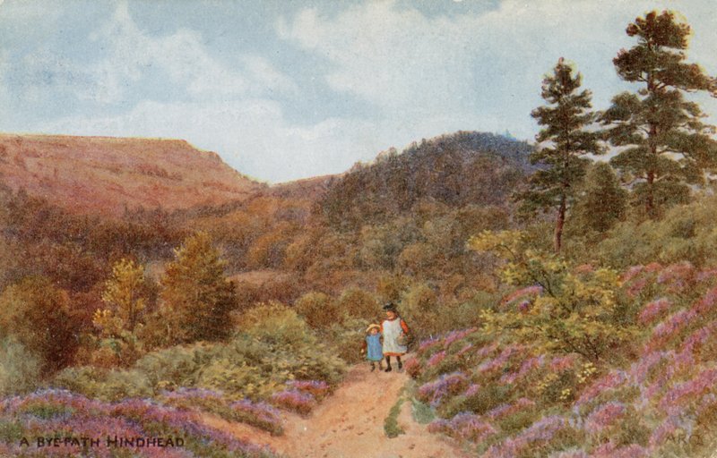 Tył autorstwa Alfred Robert Quinton