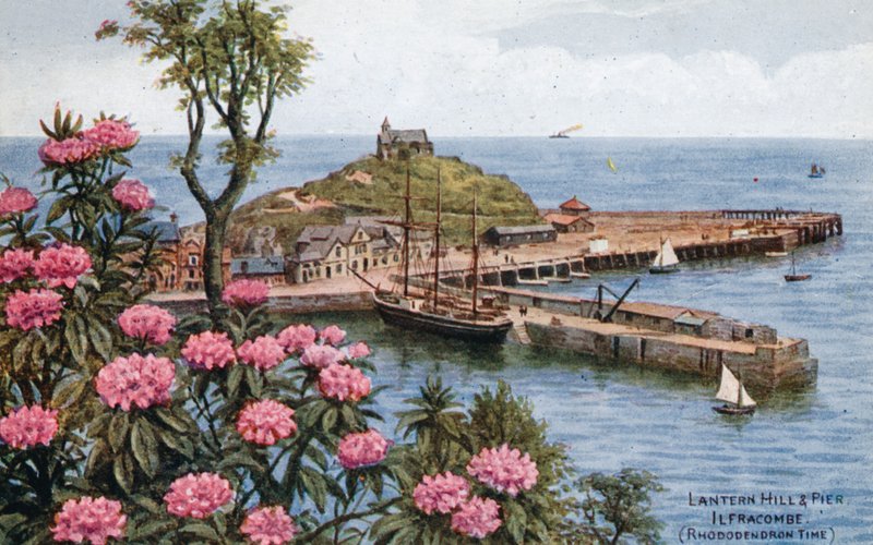 Lantern Hill and Pier, Ilfracombe, (czas rododendronów) autorstwa Alfred Robert Quinton