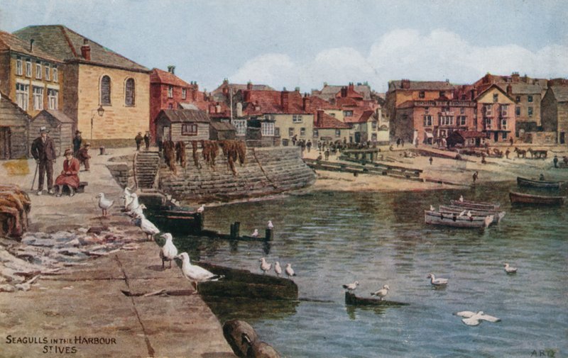 Mewy w porcie, St Ives, Kornwalia autorstwa Alfred Robert Quinton