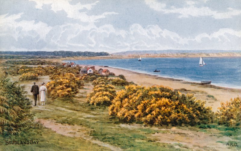 Zatoka Studland autorstwa Alfred Robert Quinton