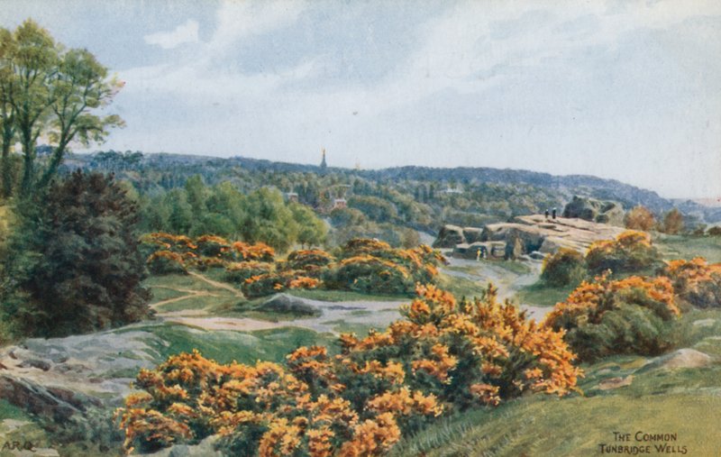 Wspólne, Tunbridge Wells autorstwa Alfred Robert Quinton
