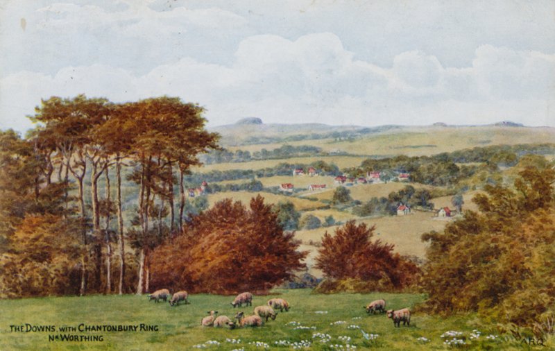 The Downs z Chantonbury Ring, Nr Worthing autorstwa Alfred Robert Quinton