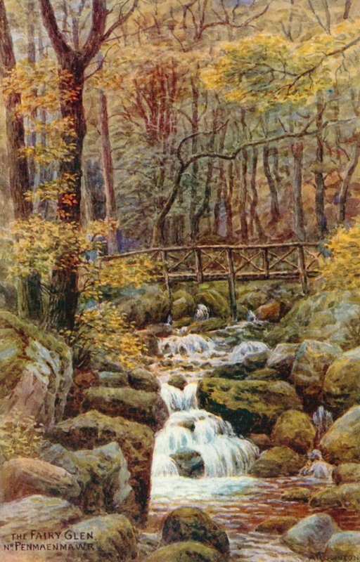 The Fairy Glen, Nr Penmaenmawr autorstwa Alfred Robert Quinton