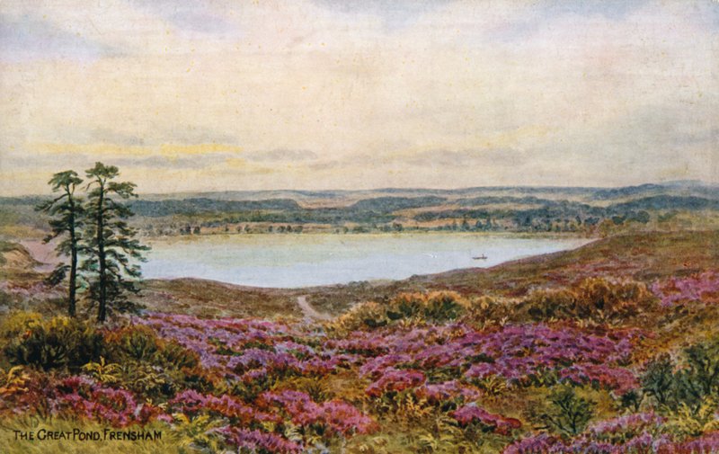 The Great Pond, Frensham autorstwa Alfred Robert Quinton
