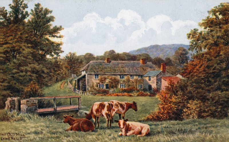 Stary Młyn, Lyme Regis autorstwa Alfred Robert Quinton
