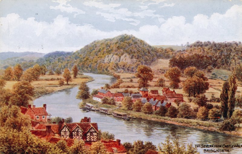 Severn, z Castle Walk, Bridgnorth autorstwa Alfred Robert Quinton