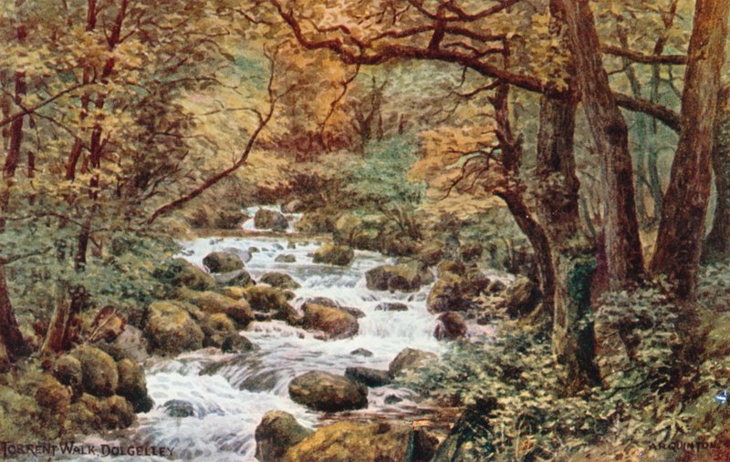 Torrent Walk, Dolgelley autorstwa Alfred Robert Quinton