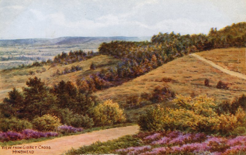 Widok z Krzyża Gibbet, Hindhead autorstwa Alfred Robert Quinton