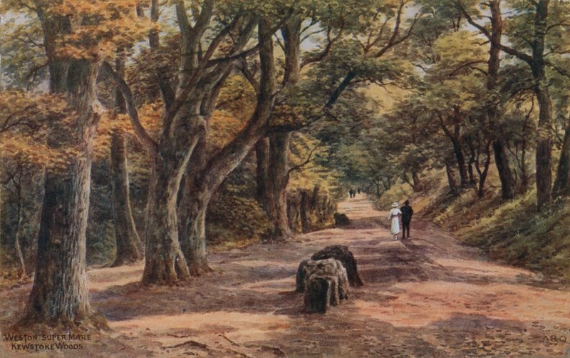 Weston-Super-Mare, Kewstoke Woods autorstwa Alfred Robert Quinton